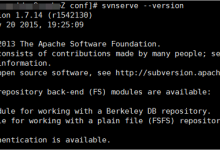 云服务器 ECS _建站教程搭建和使用SVN?-CLOUD云计算