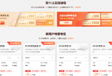 2021年双11买服务器优惠攻略，看完省一大笔钱-CLOUD云计算
